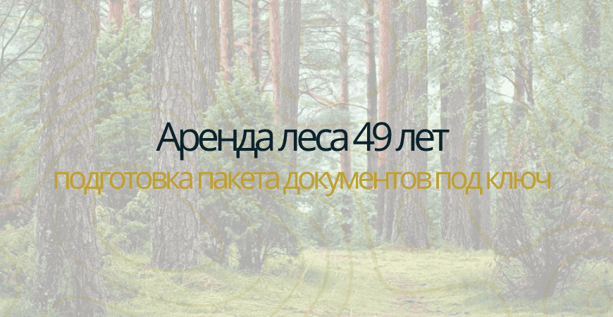 Аренда леса на 49 лет в Всеволжске
